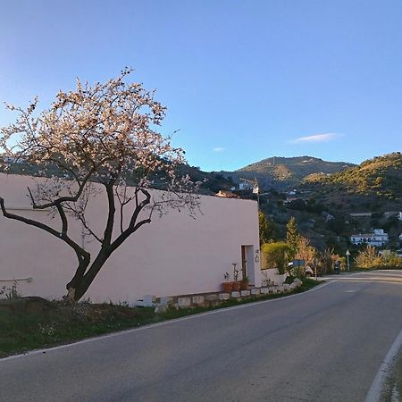 Finca El Almendro Арчес Экстерьер фото