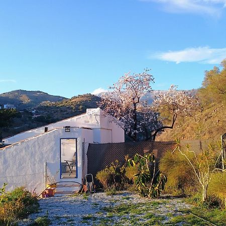 Finca El Almendro Арчес Экстерьер фото