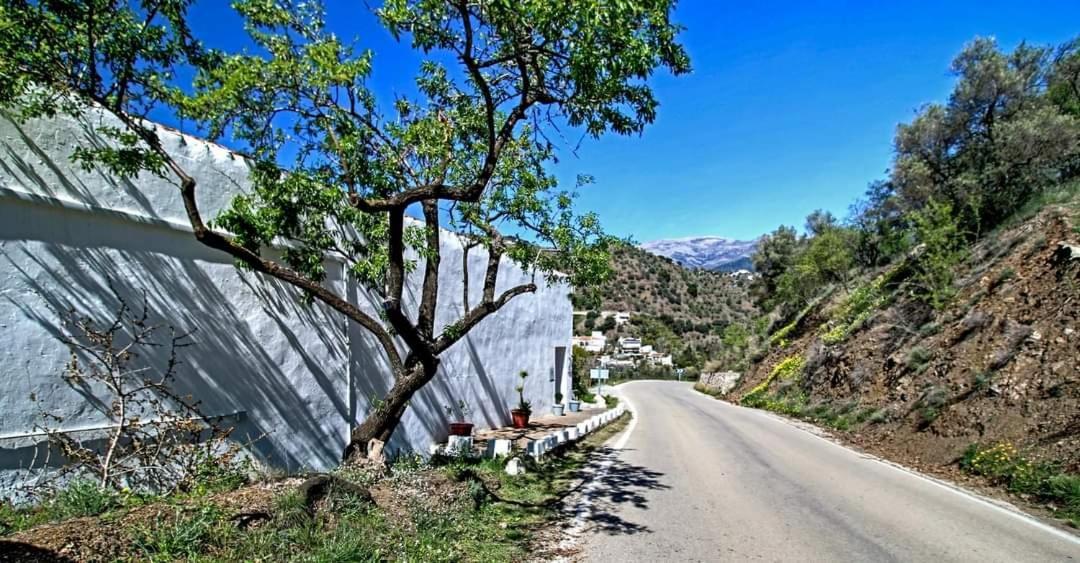Finca El Almendro Арчес Экстерьер фото