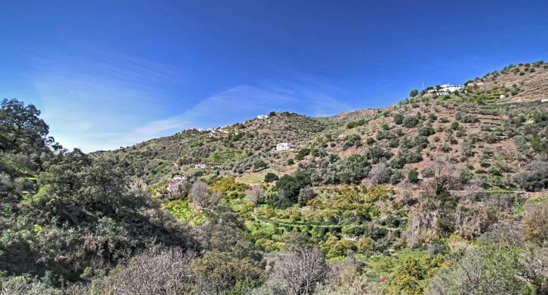 Finca El Almendro Арчес Экстерьер фото