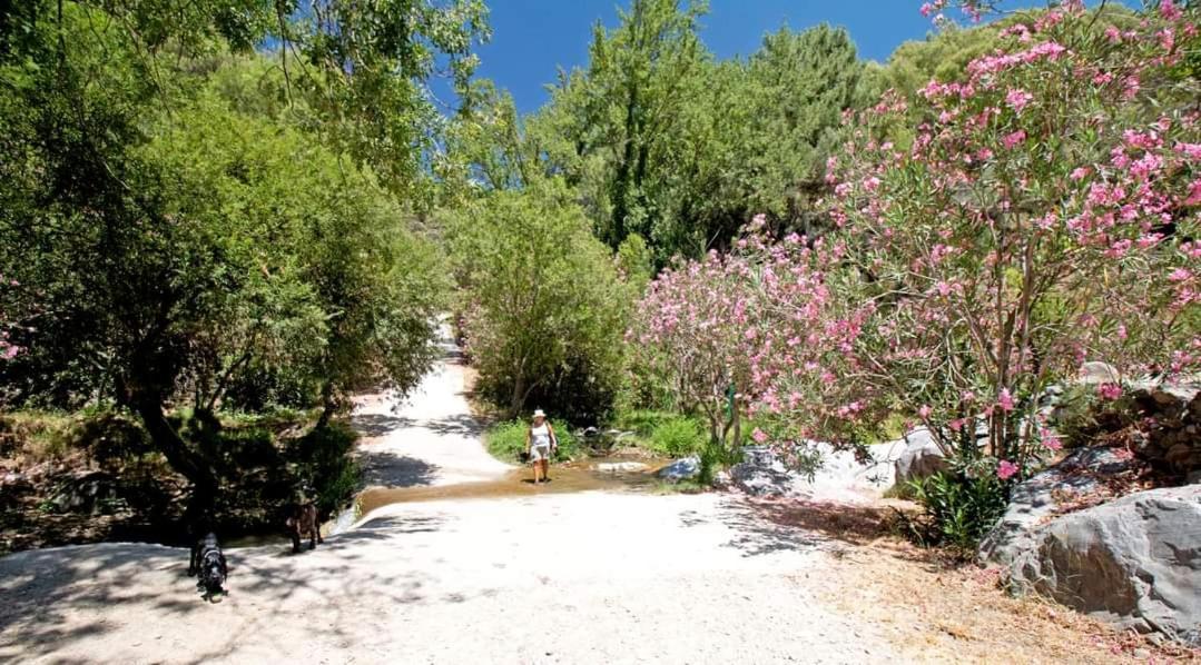 Finca El Almendro Арчес Экстерьер фото